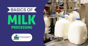 Milk Processing Equipment For Dairy Farm