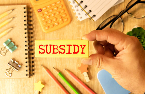 Subsidized loans: how does it work?