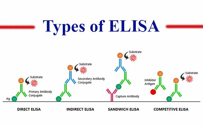 Governing The ELISA Procedure