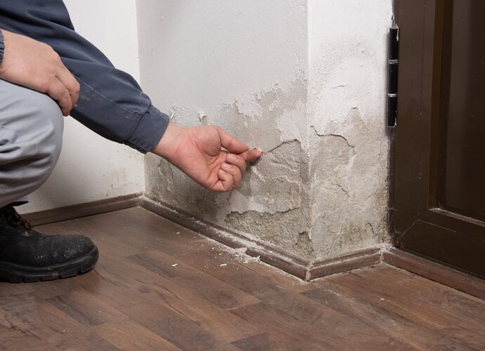 damp and mould compensation