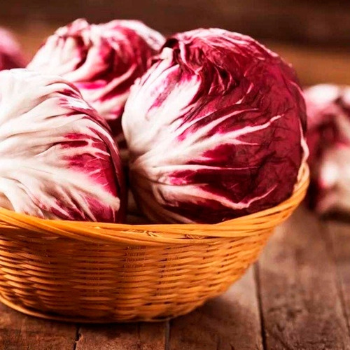 Radicchio Offers Five Advantages for a Sound Way of life.